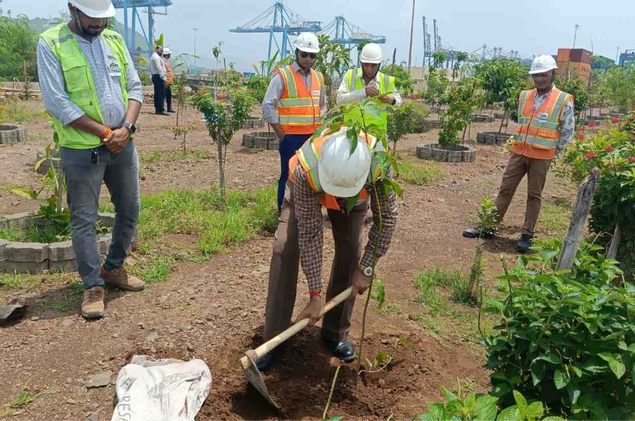 World Environment Day 2025